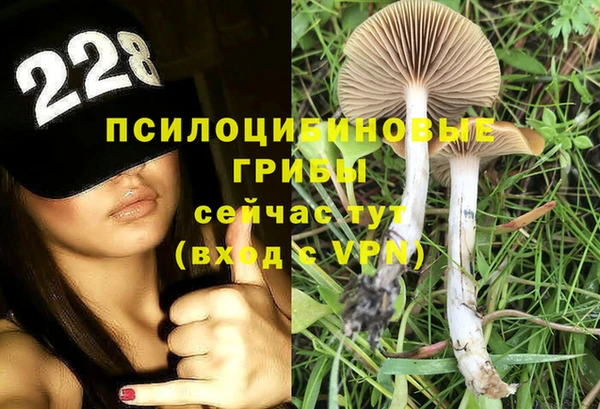 дурь Медногорск