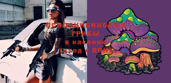 винт Мегион