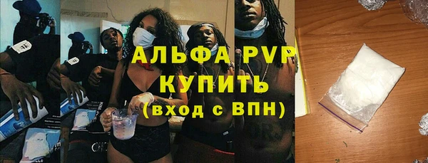 дурь Пересвет