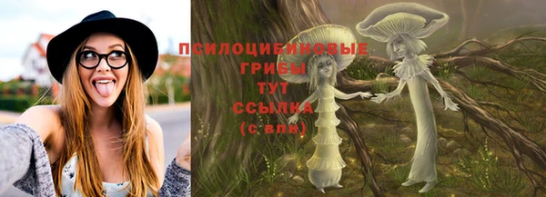 дурь Медногорск