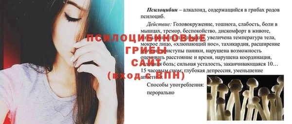 мяу мяу мука Михайлов