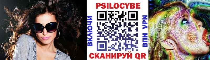 Галлюциногенные грибы Psilocybe  Талица 